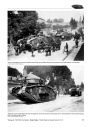 Beute-Tanks<br>British Tanks in German Service Vol. 2